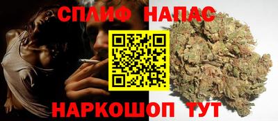 СК Славянск-на-Кубани