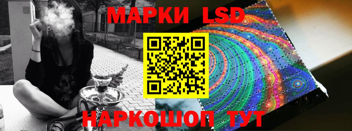 MEGA ССЫЛКА  Вход с VPN  Новозыбков  ЛСД экстази ecstasy 