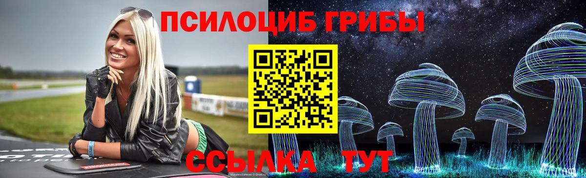 Новозыбков  Галлюциногенные грибы Psilocybe  Вход с VPN  Галлюциногенные грибы прущие грибы 