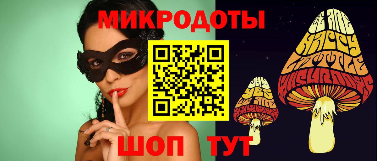 Галлюциногенные грибы Psilocybine cubensis Новозыбков